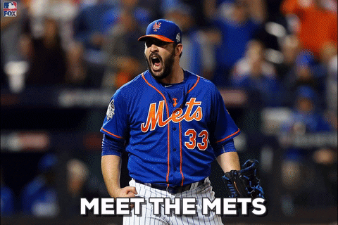 Meet Mr Met Players GIF