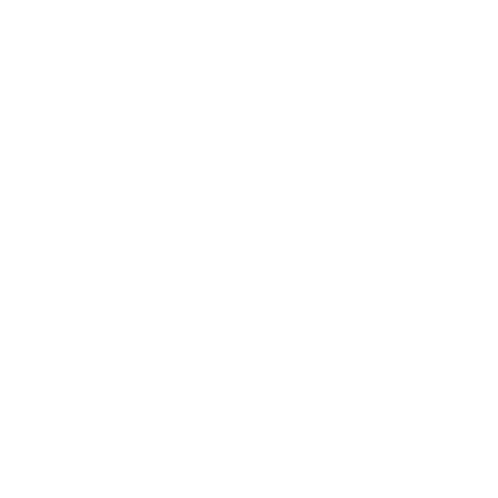 Meet the Woo Logo