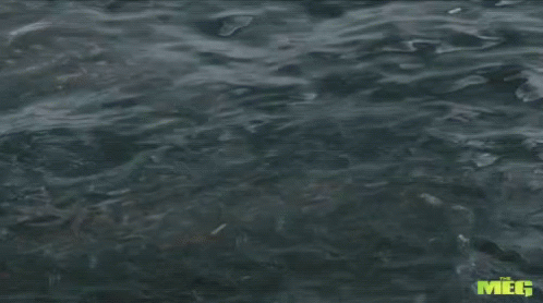 Meg Shark And Mosasaurus GIF