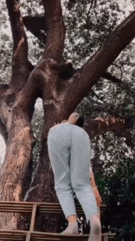 Melanie Martinez Falling GIF