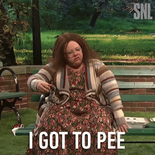 Melissa Mccarthy Got To Pee GIF