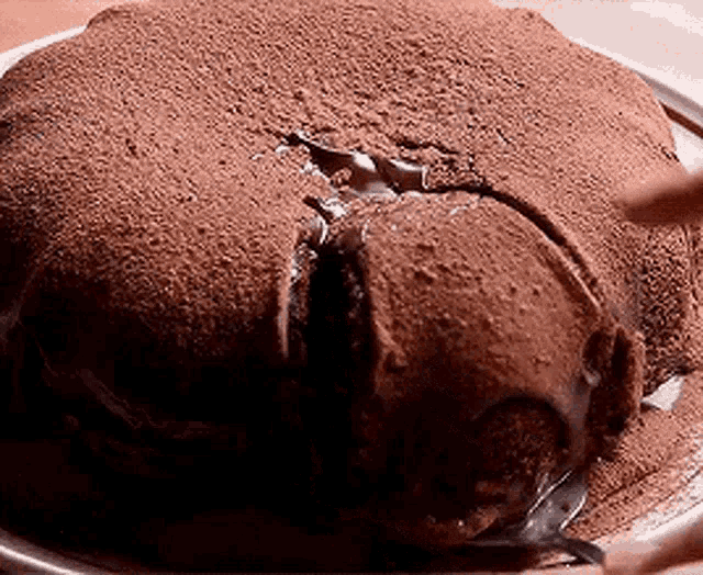 Melted Chocolate Cake GIF