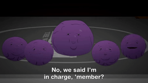 Member Berries Meeting GIF