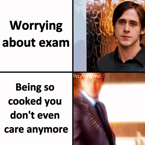 Meme About Worrying About Exam Being So Cooked You Don't Even Care Anymore
