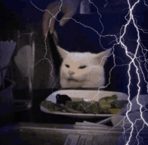 Meme Cat And Lightning GIF