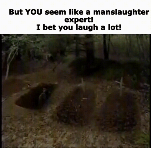 Meme Saying But You Seem Like a Manslaughter Expert and I Bet You Laugh a Lot