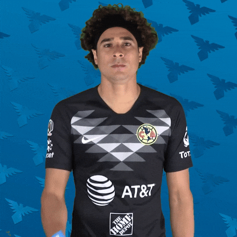 Memo Ochoa Seriously Pointing GIF