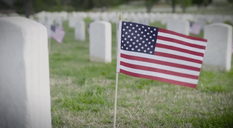 Memorial Usa Flag GIF