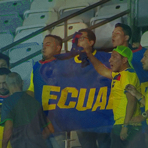 Men Cheering In Stadium With Brasil Shirt GIF