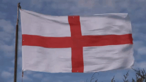 Men Dressed As England Flags In Crowd GIF