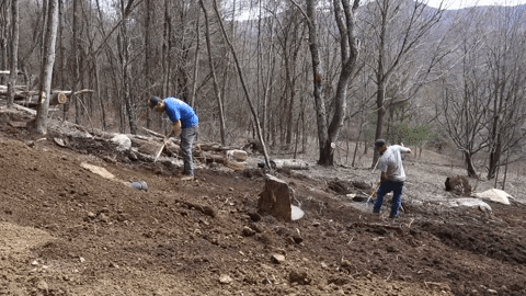 Men Evening Out Mulch On The Ground GIF