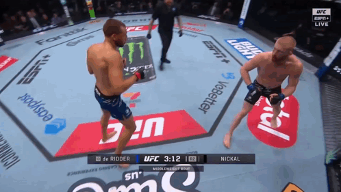 Men Fighting in UFC Ring Sponsored by Bud Light and ESPN