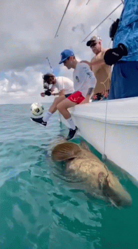 Men Fishing One Wearing Adidas Shirt GIF