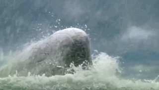 Men Killing Whale GIF