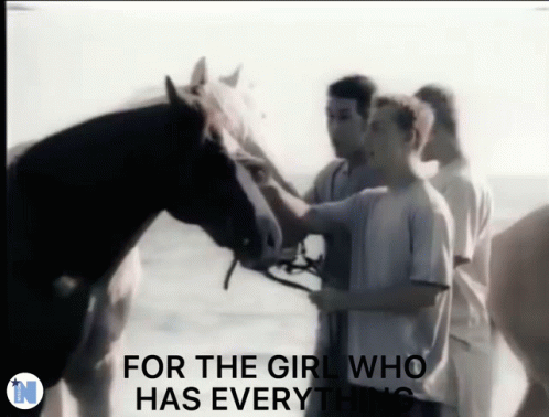 Men Petting Horse For The Girl Who Has Everything GIF