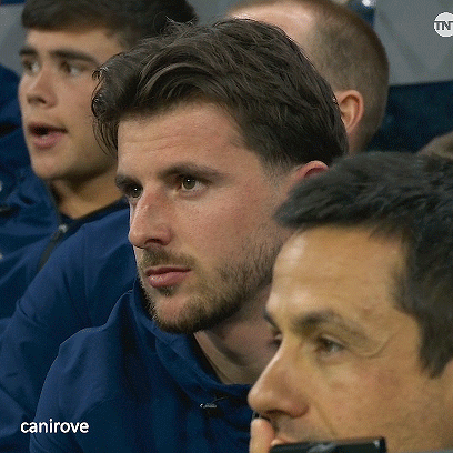 Men Sitting in Stadium With CANIROVE
