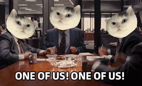 Men Sitting With Cats On Heads GIF