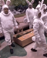 Men Wearing Bunny Costumes Hopping GIF