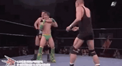 Men Wrestling In Ring Green Shorts GIF