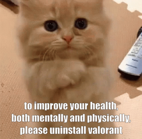 Mental Health Cat Uninstall Valorant GIF