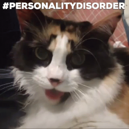 Mental Health Personality Disorder Cat GIF