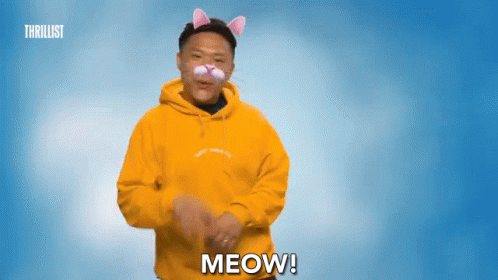 Timothy Dela Ghetto Meow GIF
