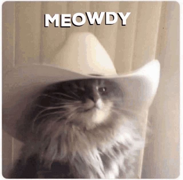 Meowdy Howdy Cat Gif GIF