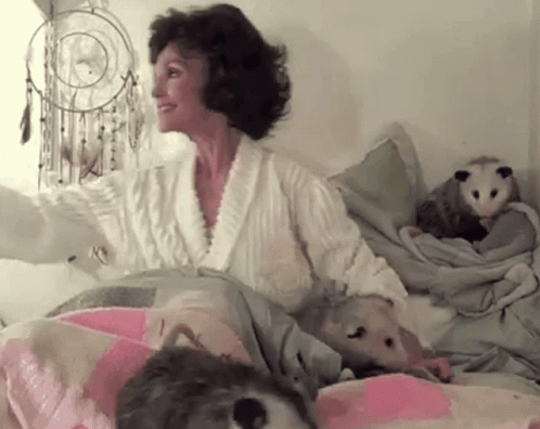 Mepearla Georgette In The Bed With Possum GIF