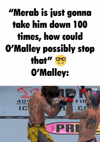 Merab Fighter Meme