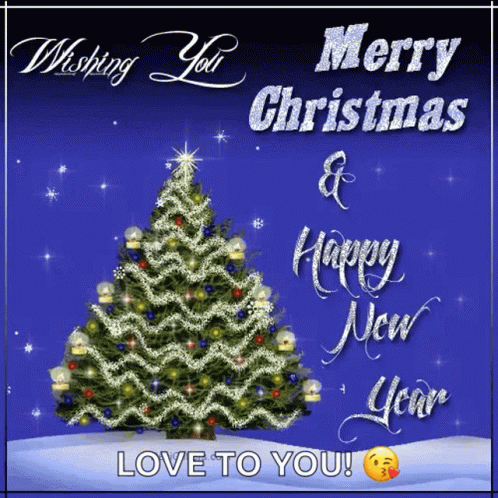 Merry Christmas and Happy New Year Card