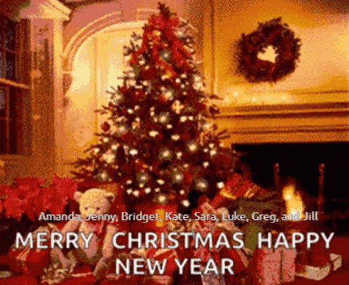 Merry Christmas and Happy New Year Greeting