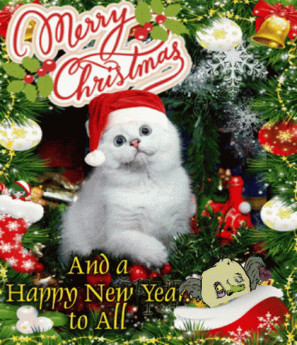 Merry Christmas Animated White Cat GIF