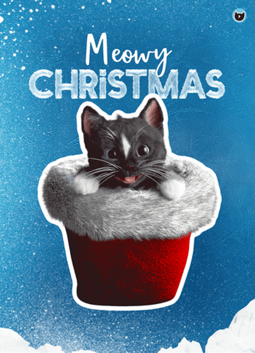 Merry Christmas Black Cat GIF