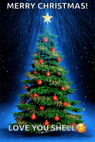 Merry Christmas Card Tree Love You Shell