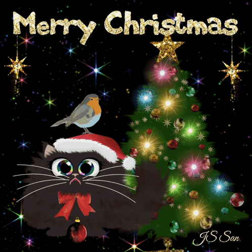Merry Christmas Card With Black Cat and Robin
