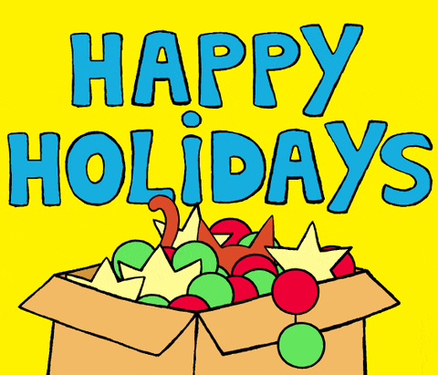 Merry Christmas Cat Inside Box GIF