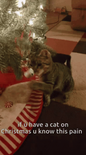 Merry Christmas Cat Playing Decoration GIF