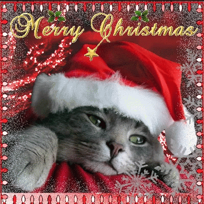 Merry Christmas Daughter Cute Santa Kitty GIF