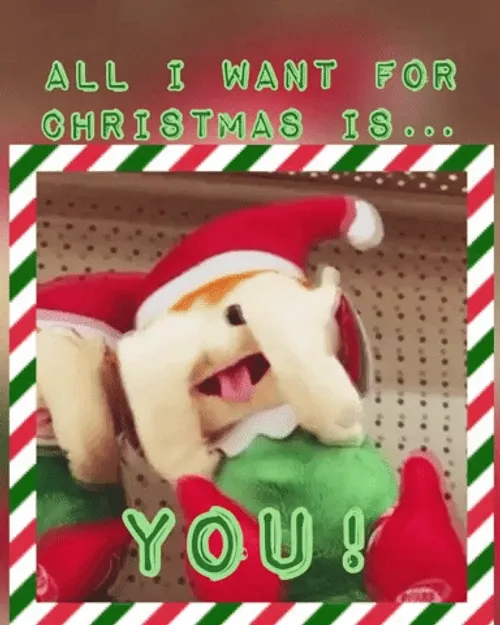 Merry Christmas Elf