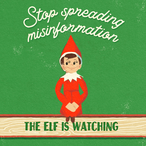 Merry Christmas Elf Stop Misinformation GIF