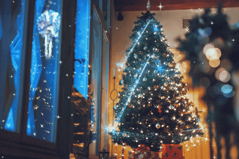 Merry Christmas Eve Fireworks Lighs GIF