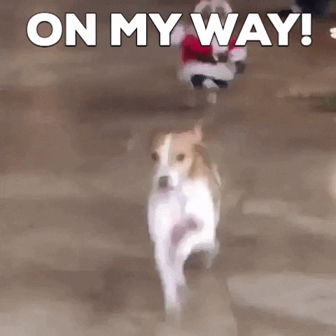 Merry Christmas Eve On My Way GIF