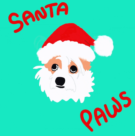 Merry Christmas Eve Santa Paws GIF