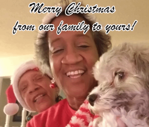 Merry Christmas From Family To Yours GIF