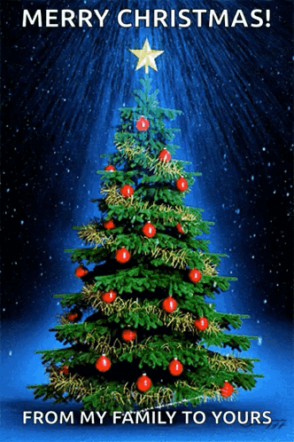 Merry Christmas From My Family To Yours With A Christmas Tree In The Background GIF