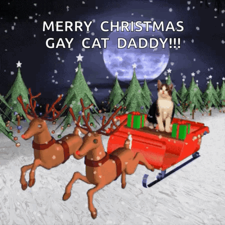 Merry Christmas Gay Cat Daddy Greeting Card With Cat in Sleigh