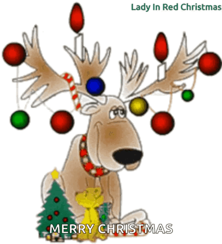 Merry Christmas Girl in Santa Outfit