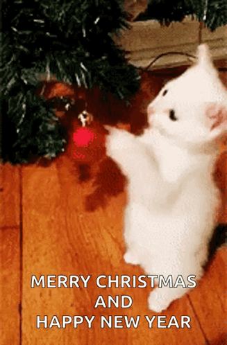 Merry Christmas Happy New Year Card