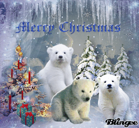Merry Christmas Polar Bear GIF