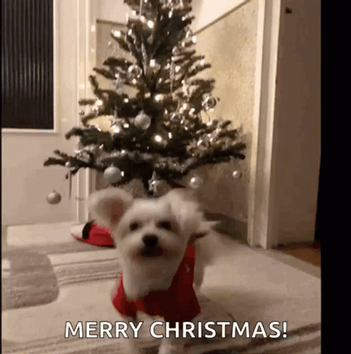 Merry Christmas Puppy Greeting GIF